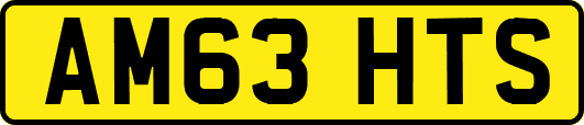 AM63HTS