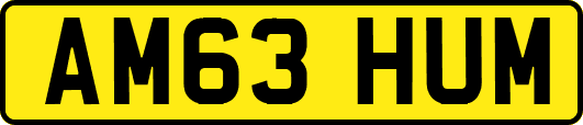 AM63HUM