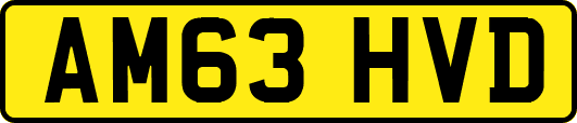 AM63HVD