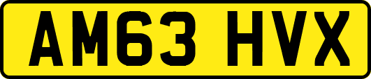AM63HVX