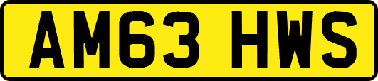 AM63HWS