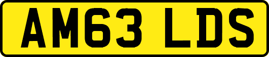 AM63LDS