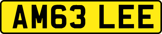 AM63LEE