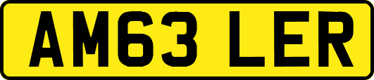 AM63LER