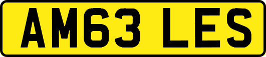 AM63LES