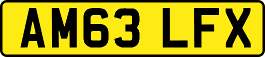 AM63LFX
