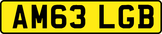 AM63LGB