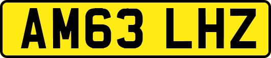 AM63LHZ