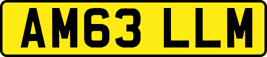 AM63LLM