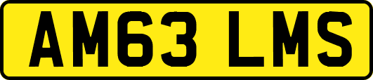 AM63LMS