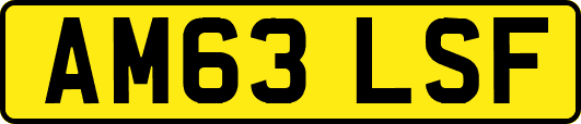 AM63LSF