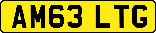 AM63LTG