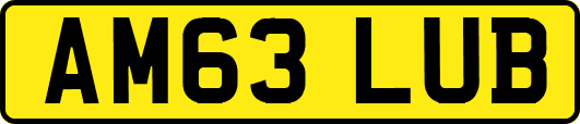 AM63LUB