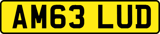 AM63LUD