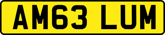 AM63LUM