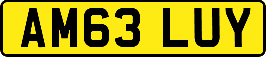 AM63LUY