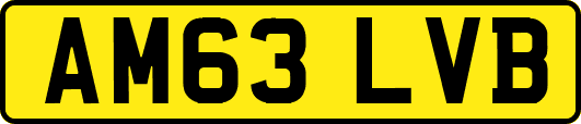 AM63LVB