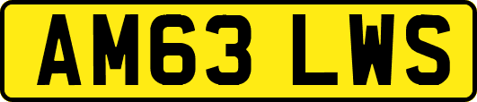 AM63LWS