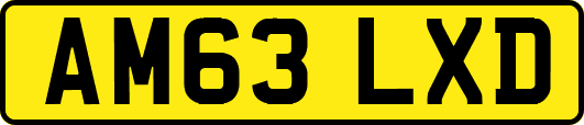 AM63LXD