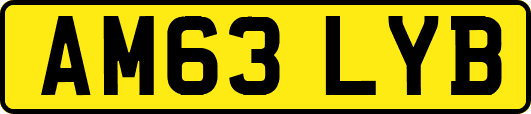 AM63LYB