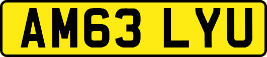 AM63LYU