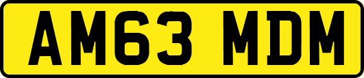AM63MDM