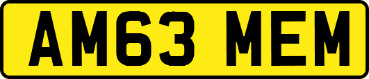 AM63MEM