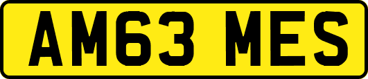 AM63MES