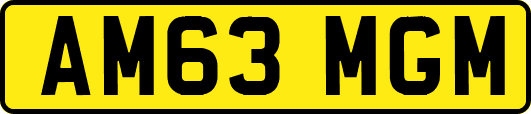 AM63MGM