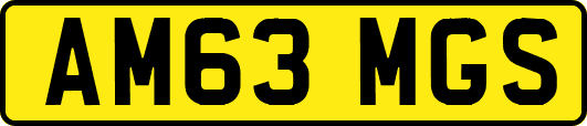 AM63MGS
