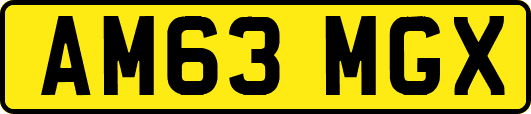 AM63MGX