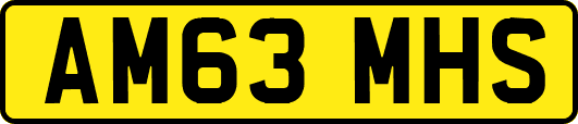 AM63MHS