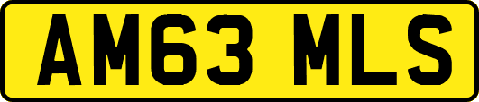 AM63MLS
