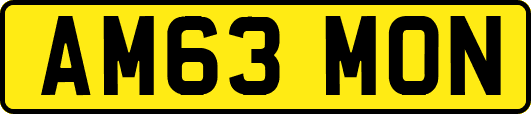 AM63MON