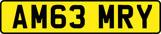 AM63MRY