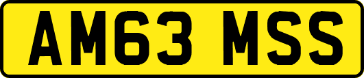 AM63MSS
