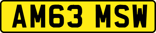 AM63MSW