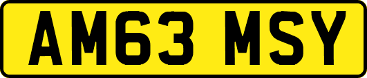 AM63MSY