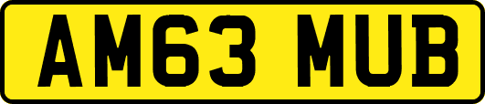 AM63MUB