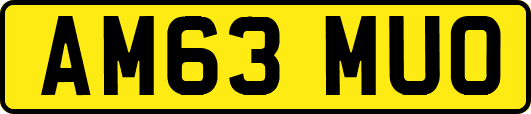 AM63MUO