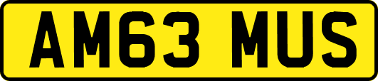 AM63MUS