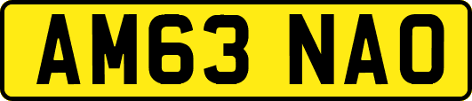 AM63NAO