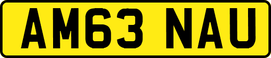 AM63NAU