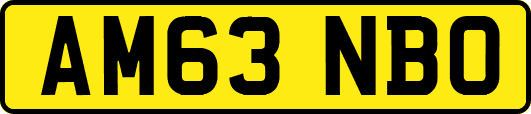 AM63NBO