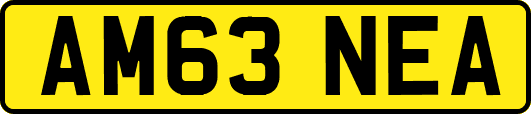AM63NEA