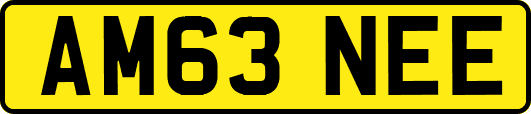 AM63NEE