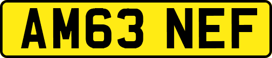 AM63NEF