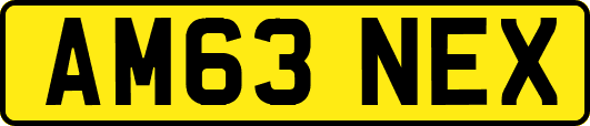 AM63NEX