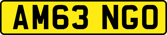 AM63NGO