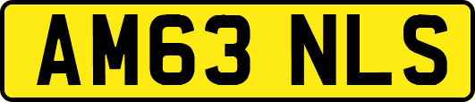 AM63NLS
